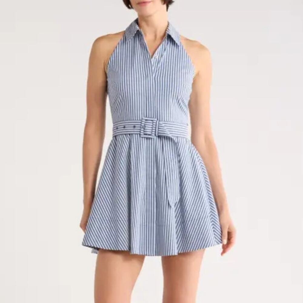 NWT Veronica Beard Blue Stripe Beau Sleeveless Fit & Flare Shirt Dress Size 10